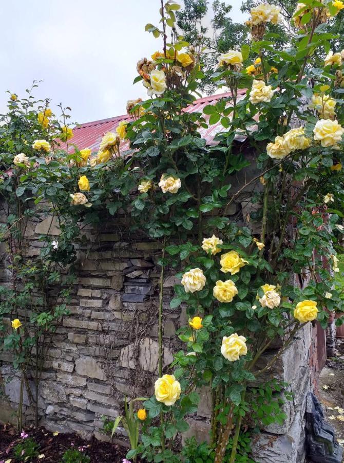 Nick & Sandra'S Slane Exterior foto